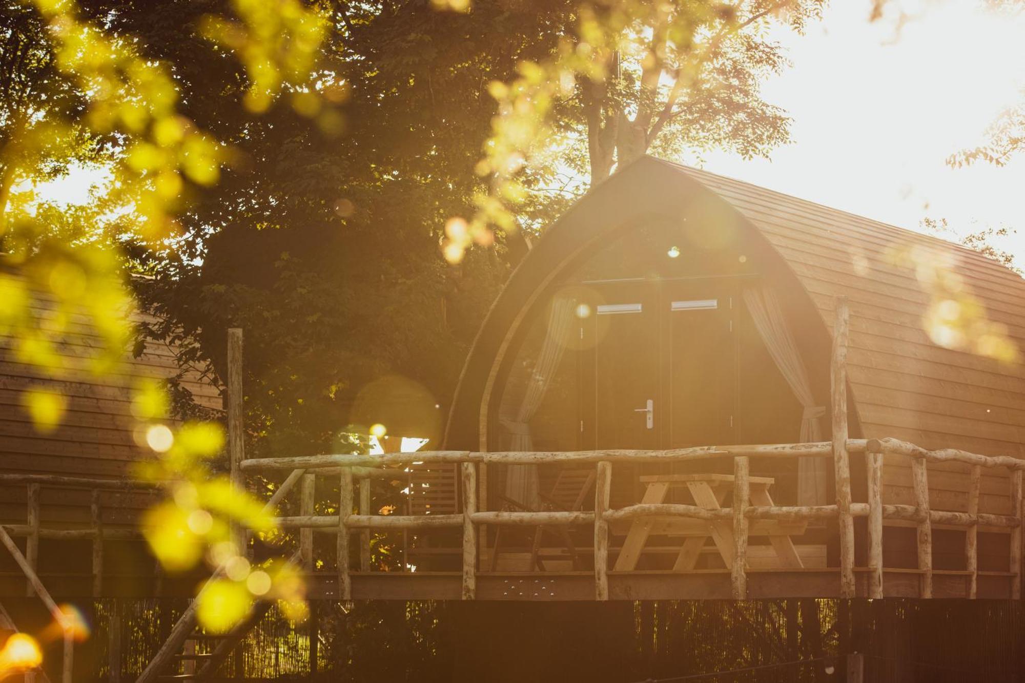 Boomhuis Met Optioneel Wellness - Vakantiepark De Schreiershoek Dokkum Exterior photo